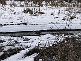 Spaziergang Januar